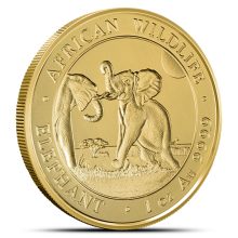 2024 Somalia Gold Elephant Coins