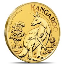 Perth Gold Kangaroos